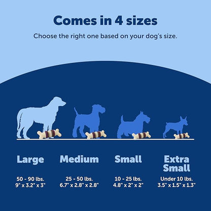 PetSafe Busy Buddy Bristle Bone - Chew Toy for Dental Health Support - Durable Dog Plaything for Tough Chewers - Includes 4 Refillable Treat Rings - Safe Chew Toy for Large Dogs (50-90 lbs)