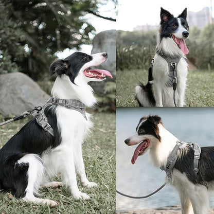 PoyPet No Pull Dog Harness and 5 Feet Leash Set, Release on Neck Reflective Adjustable Pet Vest, Front & Back 2 D-Ring and Soft Padded Pet Harness with Handle for Small to Large Dogs(Grey,M)
