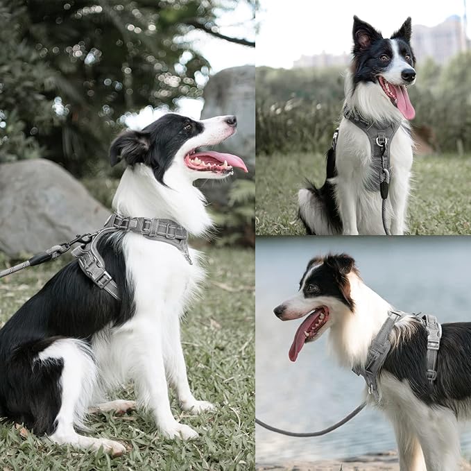 PoyPet No Pull Dog Harness and 5 Feet Leash Set, Release on Neck Reflective Adjustable Pet Vest, Front & Back 2 D-Ring and Soft Padded Pet Harness with Handle for Small to Large Dogs(Grey,S)