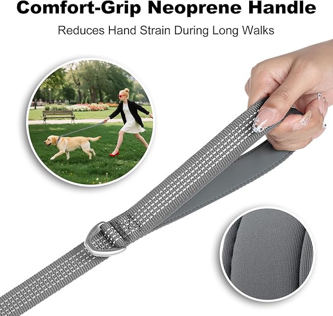 Plutus Pet Heavy Duty Dog Leash with Lockable Aluminum Carabiner, 4/6 Feet Long, Double-Sided Reflective Nylon, Padded Handle, for Puppy, Small, Medium and Large Dogs (Gray, 1" x 4')