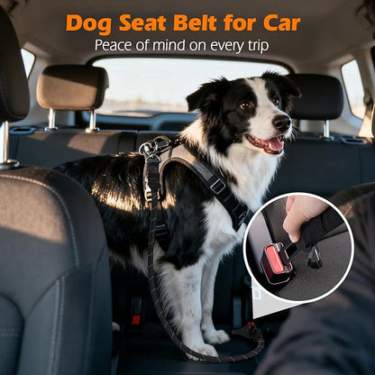 PetBonus Dog Seat Belt for Car, Durable Rope Dog Car Harness Seatbelt for Vehicle, Pet Tether Safety Restraint with Heavy Duty Buckle Hook Latch Lockable Clip for Small Medium Large Breeds (Black)