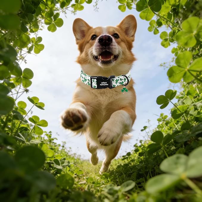 Unique style paws Dog Collar Plastic Buckle with Pendant Puppy Collar for Saint Patrick Polka Dot Clover for Small Medium Large Boys Girls Dogs