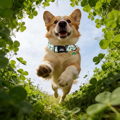 Unique style paws Dog Collar Plastic Buckle with Pendant Puppy Collar for Saint Patrick Polka Dot Clover for Small Medium Large Boys Girls Dogs