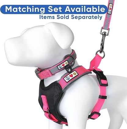 Pawtitas Pink Dog Leash 6 ft Custom ID Lead for Dogs & Puppies Reflective Comfortable Padded Handle Embroidered Name & Phone Number