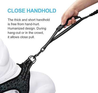 6FT Highly Reflective Heavy Duty Elastic Bungee Medium and Large Dog Leash Shock Absorbing with Comfortable Padded Handle and Traffic Handle Suitable for Training