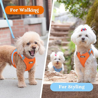 rabbitgoo Small Dog Harness, Step-in Soft Mesh Puppy Vest with Safety Buckle, Breathable Reflective Pet Harness for Small Sized Dogs, Blue & Orange M