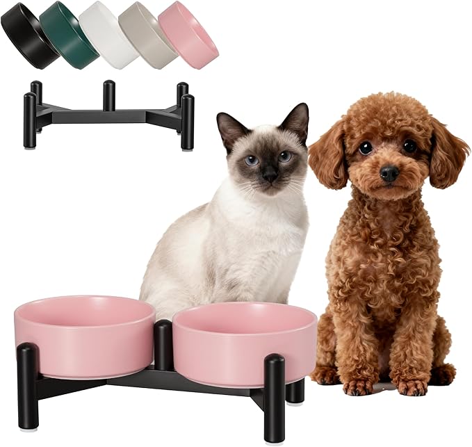 Raised Ceramic Dog Bowl Set - Elevated Double Dishes with Stainless Steel Stand - Food and Water Bowls for Small Dogs and Indoor Cats - Each Holds 1.6 Cups (10.8 fl oz) - Pink