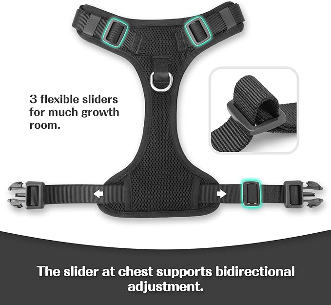 No Pull Dog Harness for Small Medium Large Dogs - Adjustable 2 Layer Mesh Dog Vest with Dual Clip, Escape Proof, Quick Release, Lightweight Breathable Mesh for Walking Hiking (Black,XL)