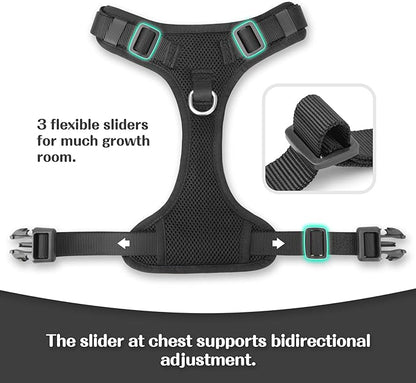 No Pull Dog Harness for Small Medium Large Dogs - Adjustable 2 Layer Mesh Dog Vest with Dual Clip, Escape Proof, Quick Release, Lightweight Breathable Mesh for Walking Hiking (Black,L)