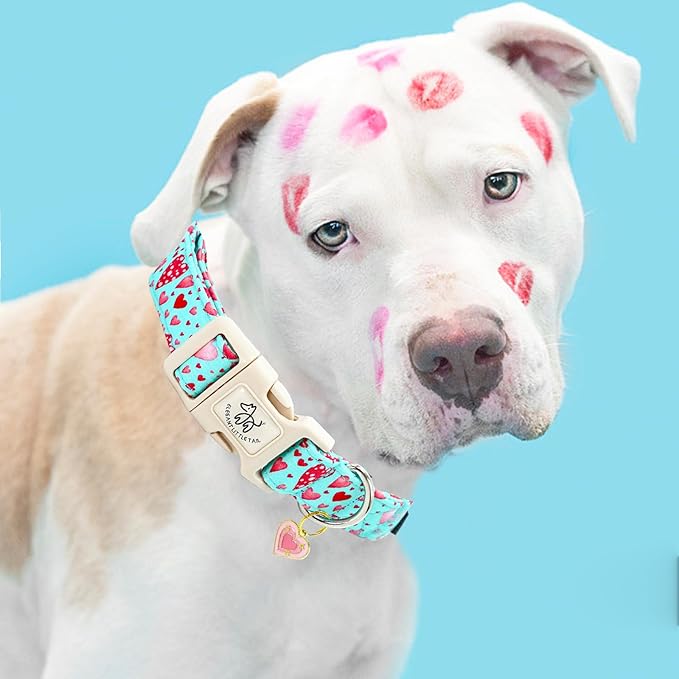 Elegant little tail Dog Collar, Pink Heart Dog Collar for Medium Dogs, Female or Male Adjustable Cotton Pet Collar with Quick Release Buckle for Small Medium Large Dogs