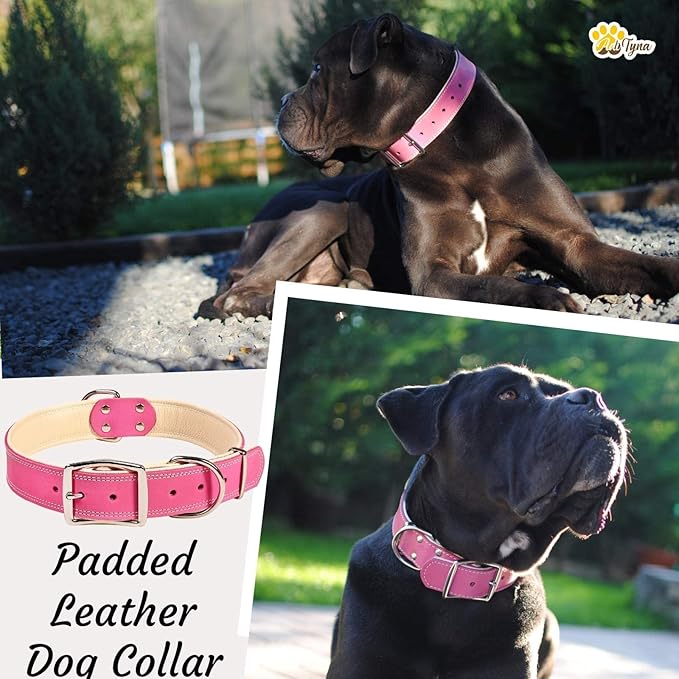 ADITYNA Heavy-Duty Pink Leather Dog Collar for Large Dogs - Lined with Soft Leather - Girl Dog Collar for Walking, Training, and Hiking
