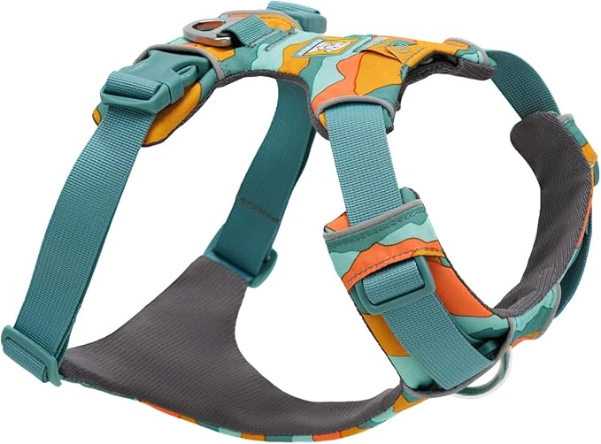 Ruffwear, Front Range Dog Harness, Reflective Soft Padded Everyday Harness with Dual Leash Clips, Adjustable and Lightweight Fit for Training or Walking for All Dogs, Spring Mountains, Small
