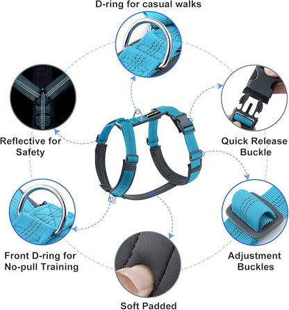 Plutus Pet No Pull Dog Harness, Adjustable Nylon Harness with Soft Padding, Reflective and Heavy Duty Dog Harness for Small, Medium, Large Dogs(Cyan, M)
