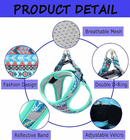 Moonpet Step in Boy Dog Harness Leash Set- All Weather Reflective No-Pull Padded Mesh Vest Harness for Cats Puppy Extra-Small Small Medium Large Dogs - Mayan Mysteries - L