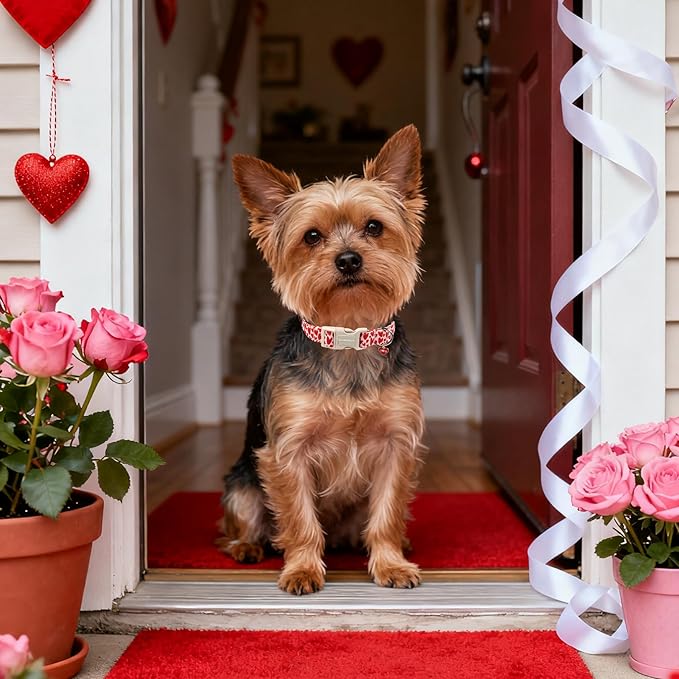 Lionet Paws Valentine's Day Dog Collars - Red Heart Peach Dogs Collar with Plastic Buckle and Heart Pendant,Dog Collar for Medium Large Dogs