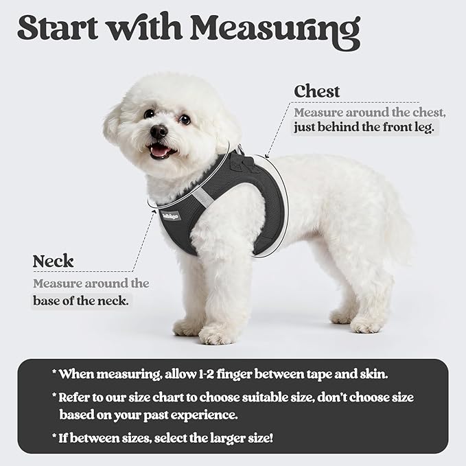rabbitgoo Dog Harness Small Sized and Leash Set, Step in Soft Light Puppy Vest, Breathable Mesh Pet Harness, Reflective for Outdoor Safe Walking, Black XL