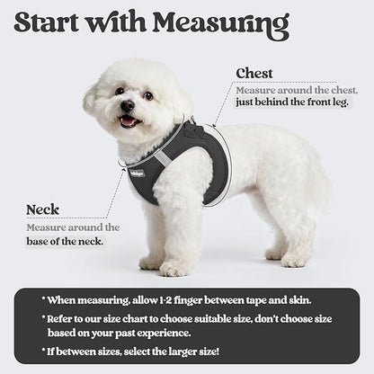 rabbitgoo Dog Harness Small Sized and Leash Set, Step in Soft Light Puppy Vest, Breathable Mesh Pet Harness, Reflective for Outdoor Safe Walking, Black XL