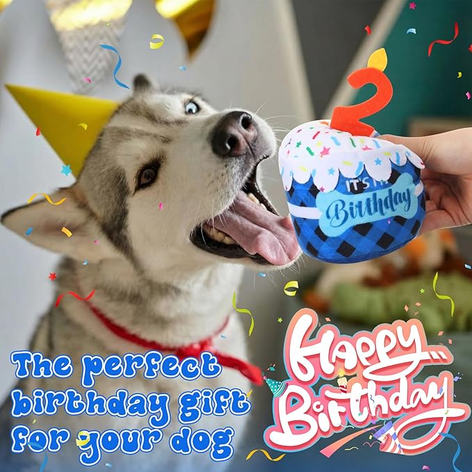 Dog 2nd Birthday Cake Toy Accessories for Girl Boy Gifts, Blue Grid Squeaky Plush Toy for Dog Birthday Party Decor Favor for Large, Medium and Small Dogs