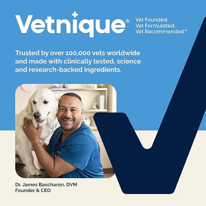 Vetnique Glandex Anal Gland Soft Chew Treats with Pumpkin for Dogs Digestive Enzymes, Probiotics Fiber Supplement for Dogs Boot The Scoot (Bacon Flavor Chews, 30 Count)