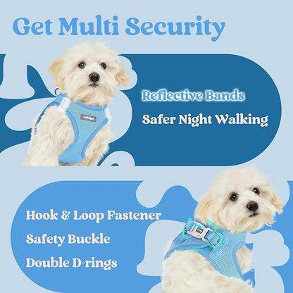 rabbitgoo Small Dog Harness, Step-in Soft Mesh Puppy Vest with Safety Buckle, Breathable Reflective Pet Harness for Small Medium Dogs, Blue XL