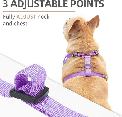PUPTECK Small Dog Harness and Leash Set, No Pull Adjustable Puppy Cat Harness, Reflective Soft Mesh Pet Vest Small Sized, Purple, L