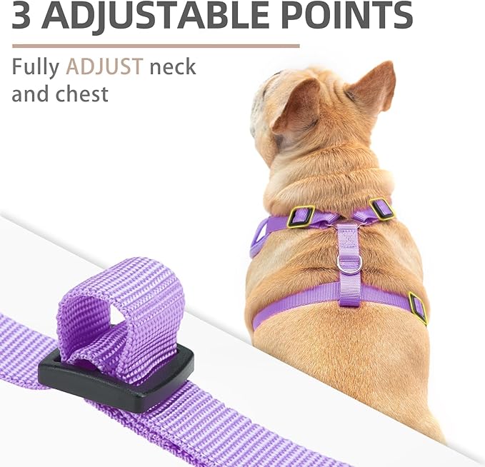 PUPTECK Small Dog Harness and Leash Set, No Pull Adjustable Puppy Cat Harness, Reflective Soft Mesh Pet Vest Small Sized, Purple, S