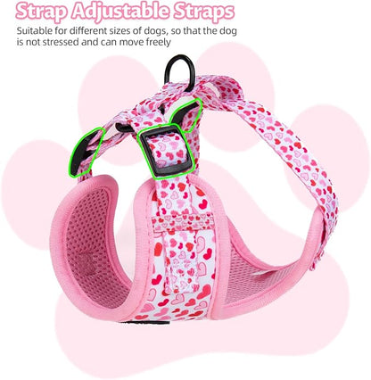 Dog Harness and Leash Set, Adjustable Dog Harness, Dog Leash, No Pull No Choke Puppy Harnesses for Walking Training for Small, Medium Pet (Little Love, M(Chest 17.7-23.1", Neck 13.4-16.4"))