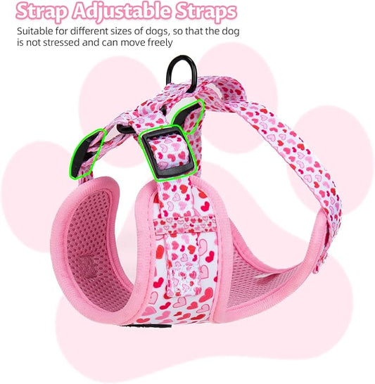 Dog Harness and Leash Set, Adjustable Dog Harness, Dog Leash, No Pull No Choke Puppy Harnesses for Walking Training for Small, Medium Pet (Little Love, L(Chest 19.6-28", Neck 15.7-21.1"))