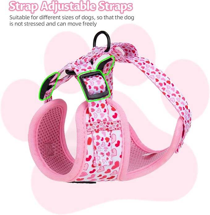 Dog Harness and Leash Set, Adjustable Dog Harness, Dog Leash, No Pull No Choke Puppy Harnesses for Walking Training for Small, Medium Pet (Little Love, S(Chest 14-19.6", Neck 10.6-13"))