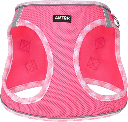 AMTOR Small Dog Harness with Leash Set, No Escape Easy Walk Puppy Harnesses for Training Walking, Step-in Reflective Soft Dogs Vest for XS S Medium Extra-Small Large Sized Dog(Fuchsia,L)