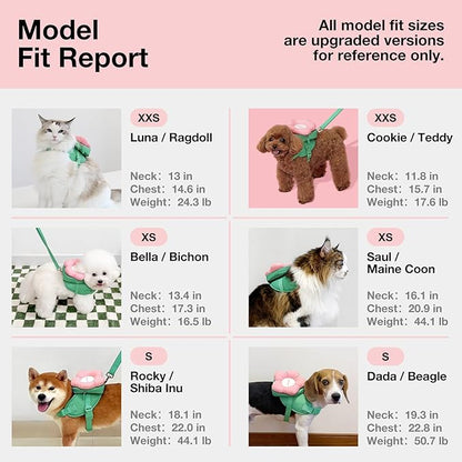 VETRESKA Flora Dog Harness, Leash and Collar Set, No Pull Dog Vest Harness for Walking and Training, Adjustable, Easy Control and Soft Padded Pet Harness and Backpack for Small Medium Large Dogs, S