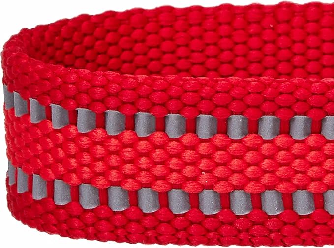 Blueberry Pet Essentials Matching Small Dog Collar | Adjustable Classic Solid Color Nylon Dog Collars for Small Dogs | Reflective Rouge Red Dog Collar for Small Dogs