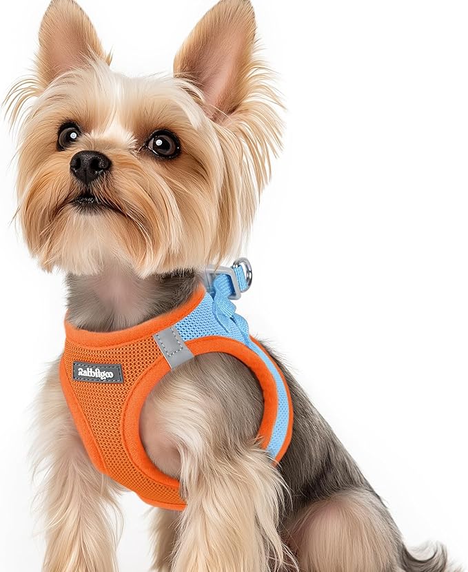 rabbitgoo Small Dog Harness, Step-in Soft Mesh Puppy Vest with Safety Buckle, Breathable Reflective Pet Harness for Small Sized Dogs, Blue & Orange XS