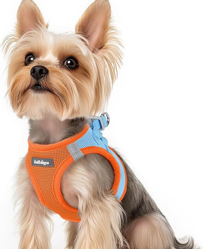 rabbitgoo Small Dog Harness, Step-in Soft Mesh Puppy Vest with Safety Buckle, Breathable Reflective Pet Harness for Small Sized Dogs, Blue & Orange XS