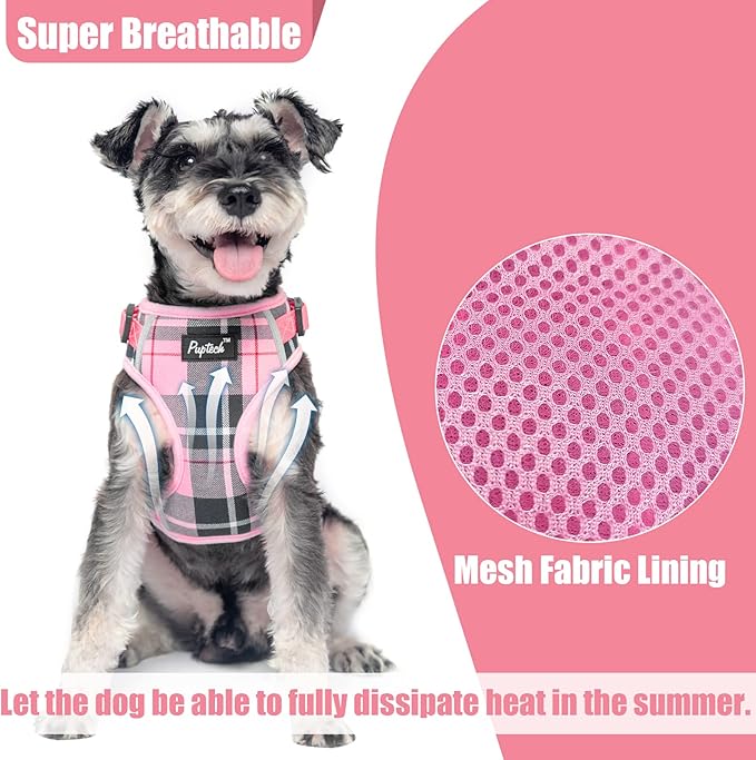 PUPTECK Small Dog Harness and Leash Set, No Pull Adjustable Puppy Cat Harness, Reflective Soft Mesh Pet Vest Small Sized, Pink Plaid, XS