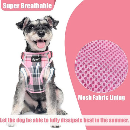 PUPTECK Small Dog Harness and Leash Set, No Pull Adjustable Puppy Cat Harness, Reflective Soft Mesh Pet Vest Small Sized, Pink Plaid, XS