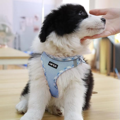 AMTOR Small Dog Harness with Leash Set, No Escape Easy Walk Puppy Harnesses for Training Walking, Step-in Reflective Soft Dogs Vest for XS S Medium Extra-Small Large Sized Dog(XL Size,Blue/White)