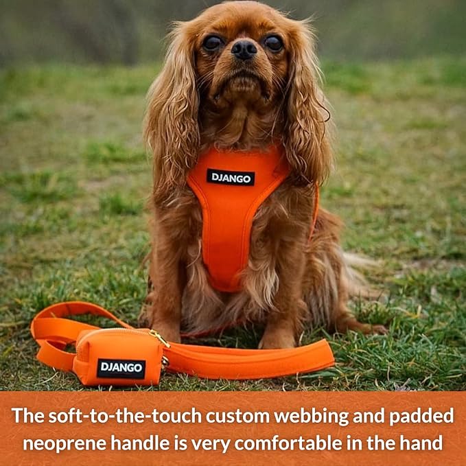 DJANGO Adventure Dog Leash – Strong, Comfortable, and Stylish Dog Leash with Solid Brass Hardware and Padded Handle - Designed for Outdoor Adventures and Everyday Use (Sunset Orange)