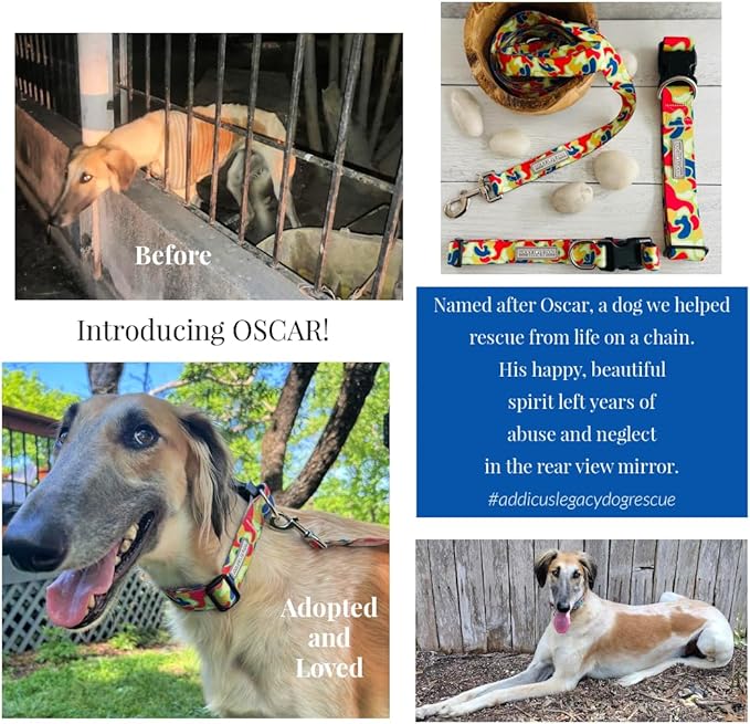 Lucky Love Dog - Adjustable Dog Collar with Easy Click Buckle for Small Dogs, Durable, & Comfortable for Male & Female Dogs, Pet Collar for Puppies & Adult Ones - Oscar, Small