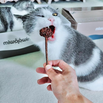 4 PCS Silvervine Stick Cat Toy with Gall Fruit – Natural Lollipop-Shaped Matatabi Chew Toy for Cats – Catnip Alternative for Teeth Cleaning, Anxiety Relief & Interactive Play – 4.8" Cat Dental Toy