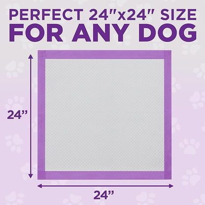 POOPH® Potty Pads™ – 25 Count – Superior Absorbency & Odor Control – Absorbs 59oz, Leak-Proof, Track-Proof, Spill-Proof – Quick-Dry, Disposable, 24x24 Inch – for Puppies, Seniors, Housebound Pets