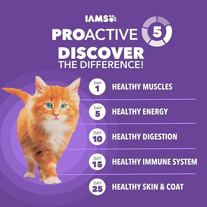 IAMS Proactive Health Healthy Kitten Dry Cat Food with Chicken, 3.5 lb. Bag