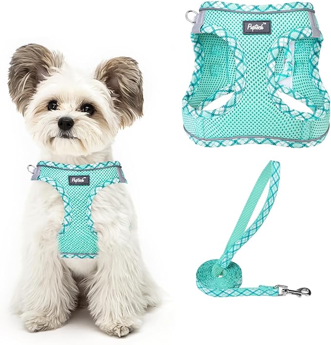 PUPTECK Dog Harness and Leash Set for Small Medium Dogs No Pull Step-in Soft Mesh Puppy Cat Vest Harnesses Reflective at Night, Upgraded New Green M