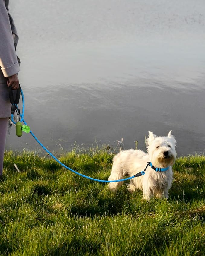 Dynmeow Reflective Dog Collar and Leash Set, 6FT Strong Climbing Rope Leash with Padded Handle, Adjustable Pet Collar with Soft Neoprene Padding for Puppy Small Dogs, Blue, Xs