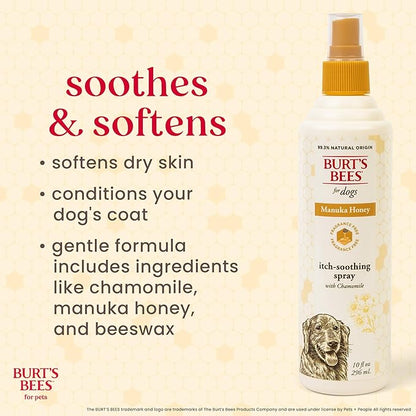 Burt’s Bees for Pets Itch Spray with Manuka Honey and Chamomile for Dogs - Naturally Derived Ingredients, Formulated Without Artificial Fragrances, Sulfates, Colorants, 10 Fl Oz