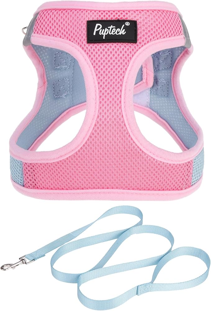 PUPTECK Dog Harness and Leash Set for Small Medium Dogs No Pull Step-in Soft Mesh Puppy Cat Vest Harnesses Reflective at Night, Pink & Blue, S