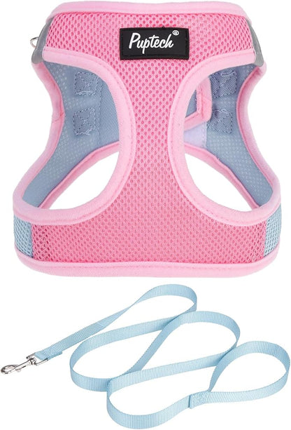 PUPTECK Dog Harness and Leash Set for Small Medium Dogs No Pull Step-in Soft Mesh Puppy Cat Vest Harnesses Reflective at Night, Pink & Blue, S