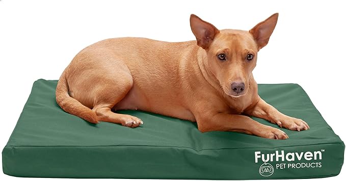Furhaven Indoor/Outdoor Logo Oxford Polycanvas Mattress - Water-Resistant Orthopedic Dog Bed w/ Removable Cover, 125 lb max - Forest, Medium