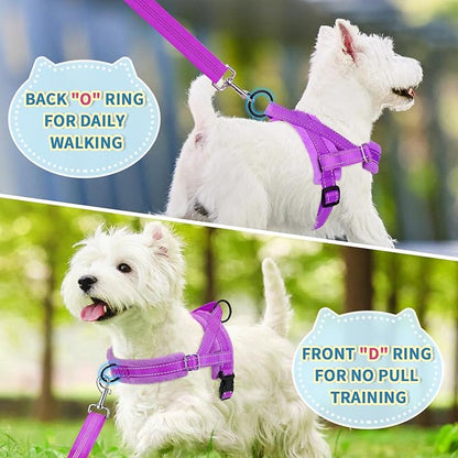 Lukovee No Pull Dog Harness and Leash Set, Soft Padded Small Dog Harness, Neck & Chest Adjustable Reflective Vest Puppy Harness with 4ft Lightweight Anti-Twist Dog Leash for Small Dogs (XXS, Purple)
