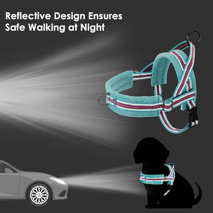 Lukovee No Pull Dog Harness and Leash Set, Soft Padded Small Dog Harness, Neck & Chest Adjustable Reflective Vest Puppy Harness with 4ft Lightweight Anti-Twist Dog Leash for Small Dogs (S, 01-LBL)